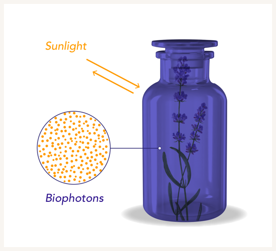 Miron glass for shea butter